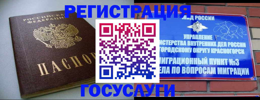 временная прописка в Полярных Зорях